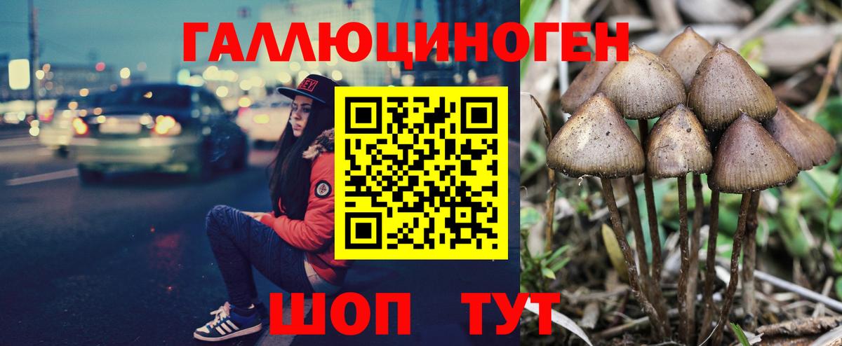 Галлюциногенные грибы мухоморы Тверь