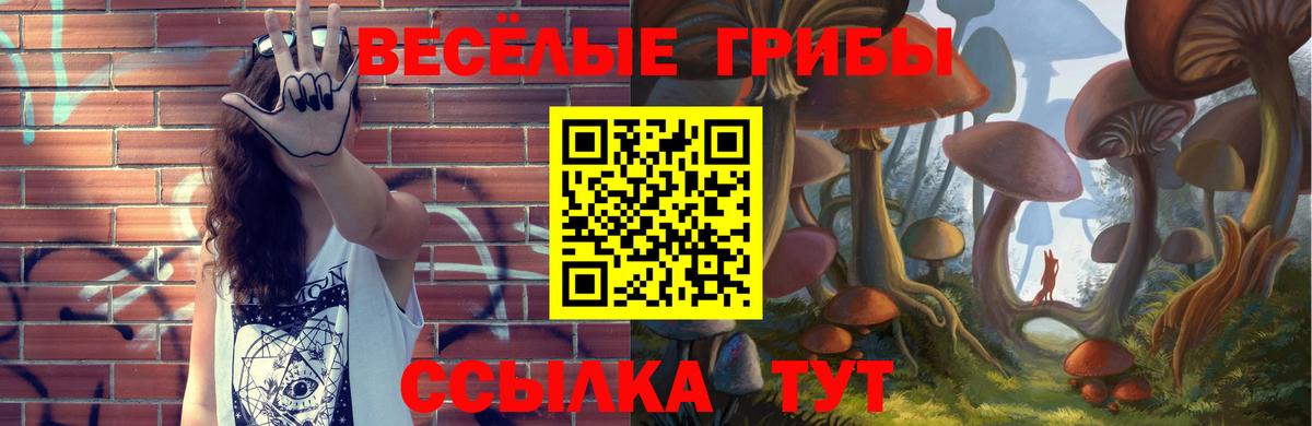Псилоцибиновые грибы Psilocybine cubensis  Вход с VPN  Галлюциногенные грибы прущие грибы  Тверь 