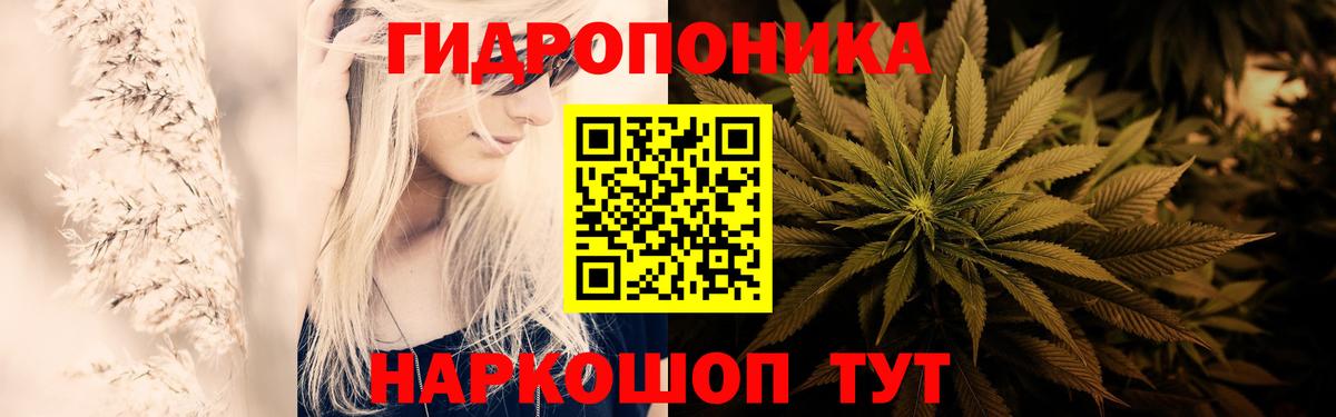 МАРИХУАНА семена Тверь